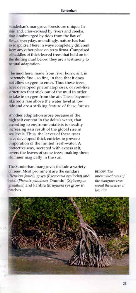 Wild Trail in Bengal 10th page