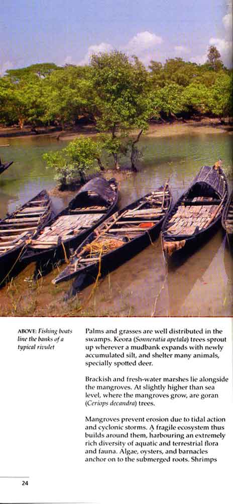 Wild Trail in Bengal 11th page