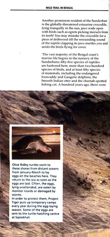 Wild Trail in Bengal 13th page