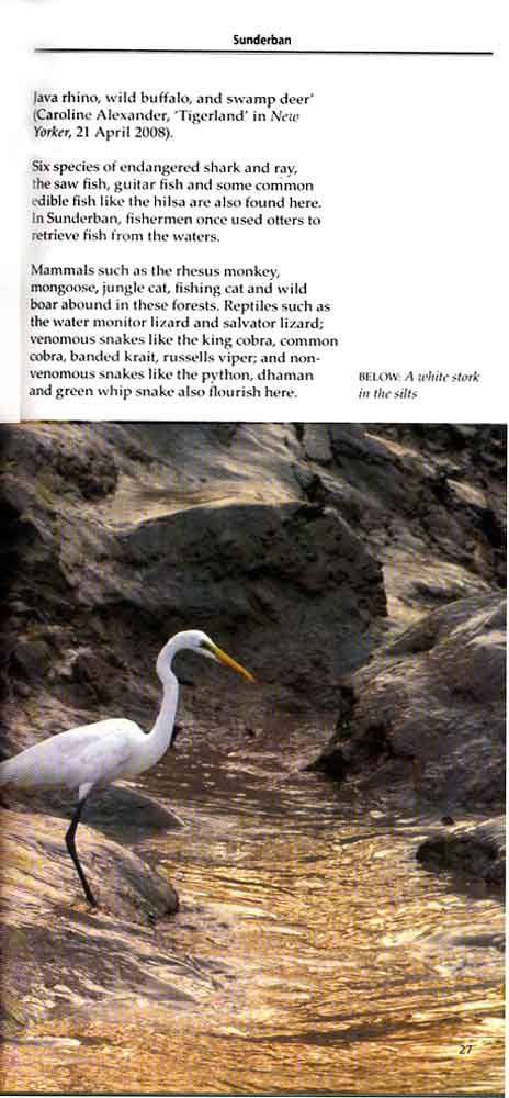 Wild Trail in Bengal 14th page