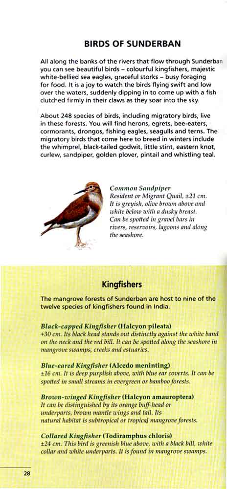 Wild Trail in Bengal 15th page