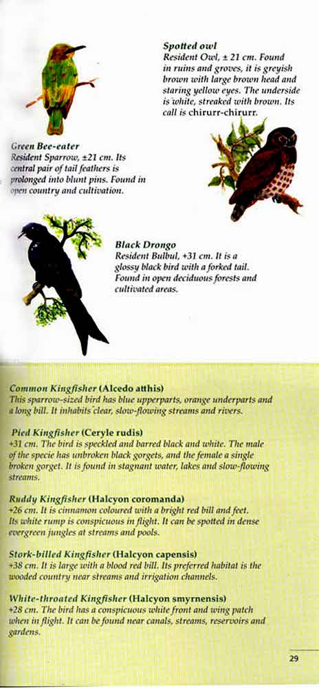 Wild Trail in Bengal 16th page