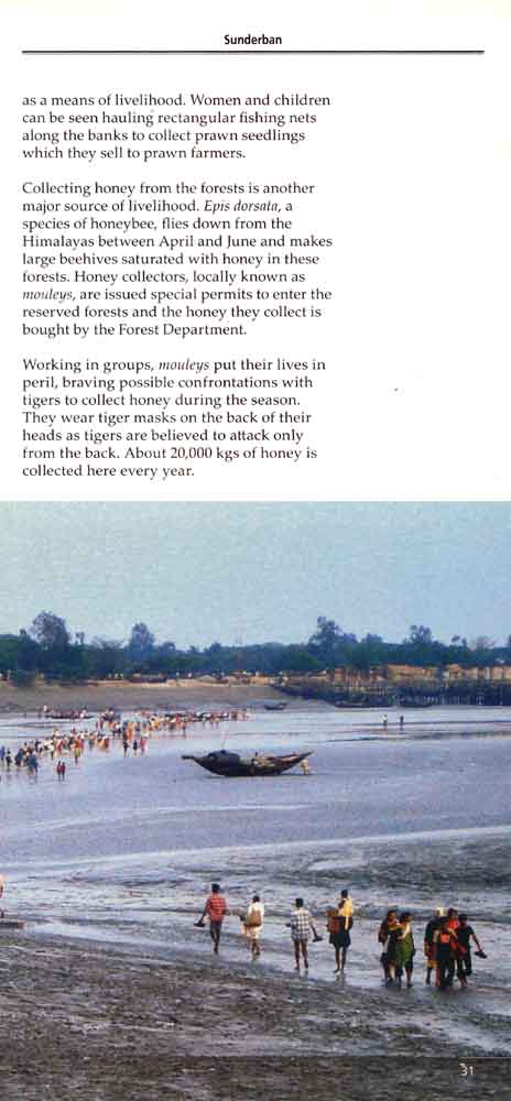 Wild Trail in Bengal 18th page