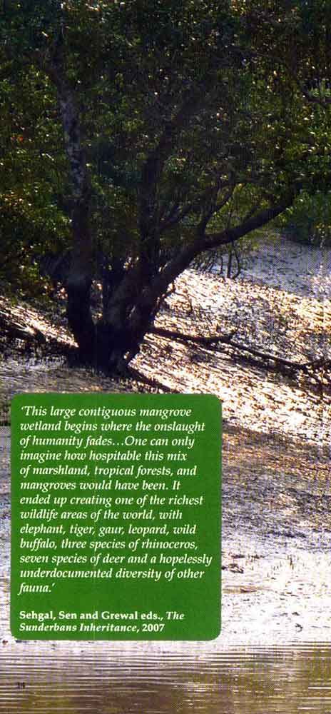 Wild Trail in Bengal 21st page