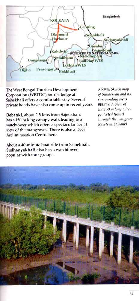 Wild Trail in Bengal 24th page