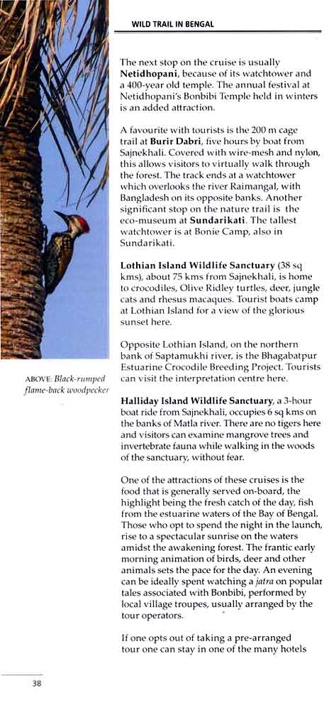 Wild Trail in Bengal 25th page